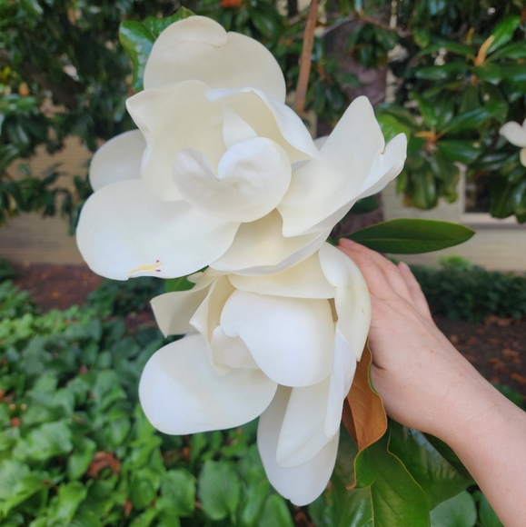 Meet your Posher, K - Picture 1 of 1